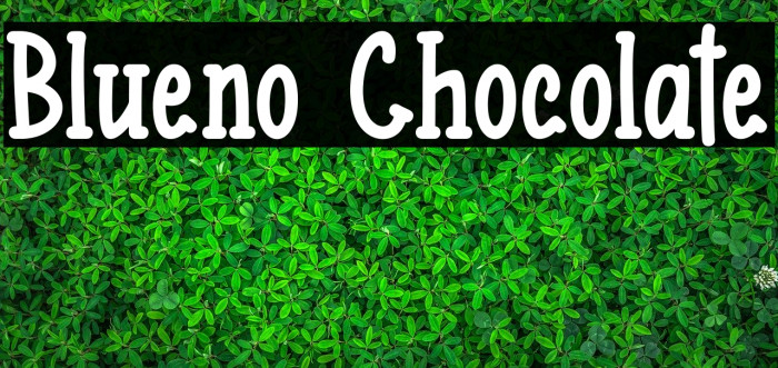 Blueno Chocolate Fonte examples