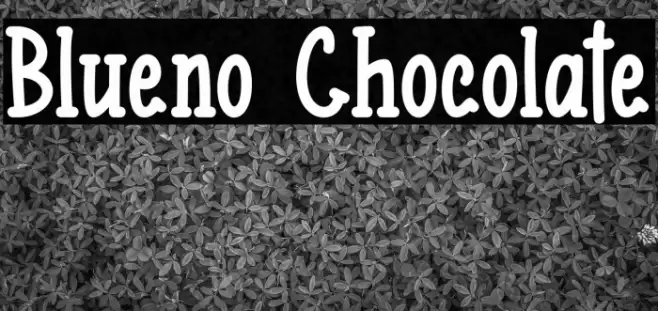 Blueno Chocolate Fonte examples