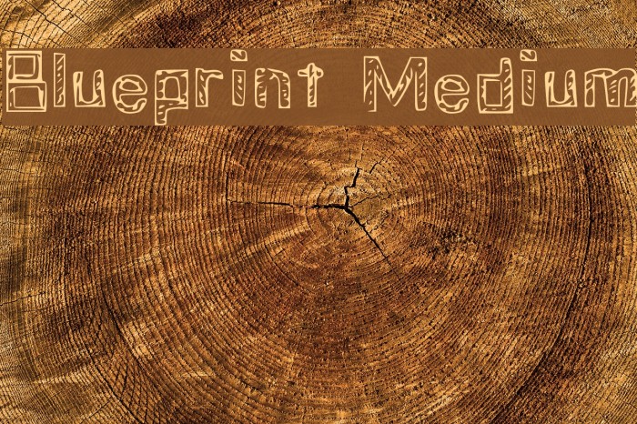 Blueprint Medium Font examples