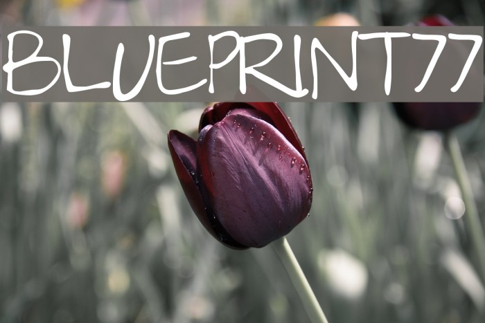 Blueprint77 Example 2