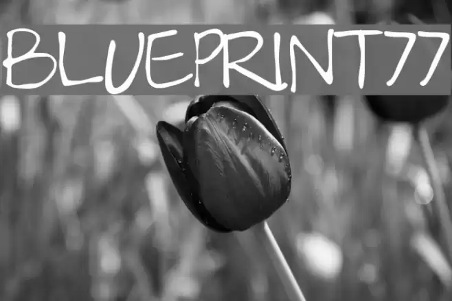 Blueprint77 Font examples