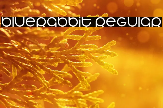 Bluerabbit Regular Example 2