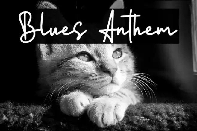 Blues Anthem Font examples