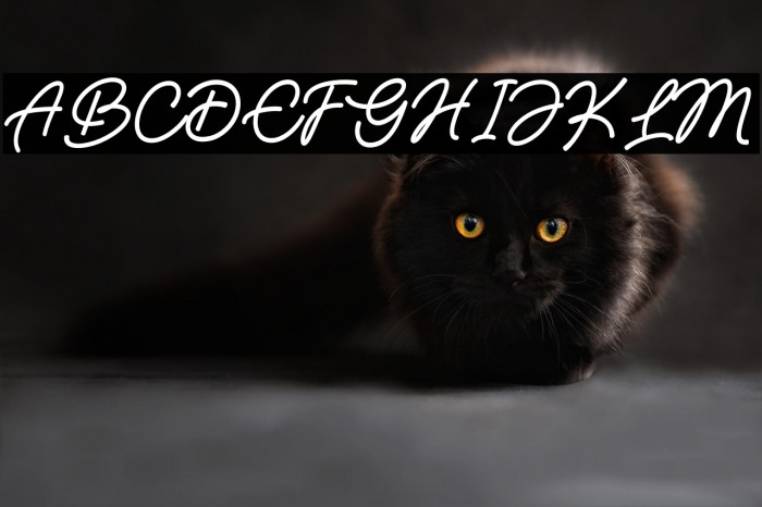 Blues Malone Example 1