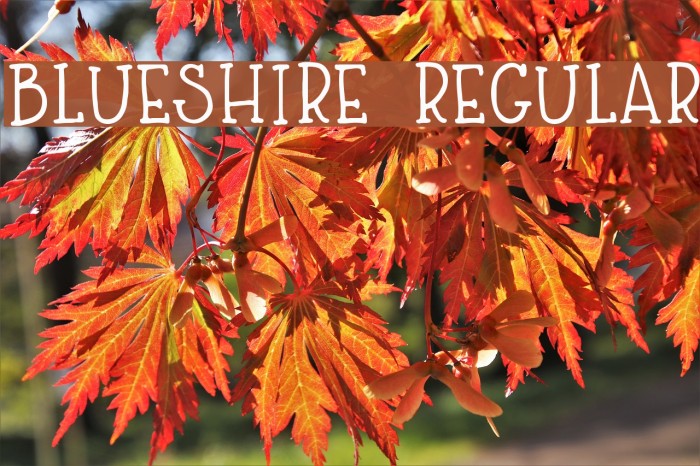 Blueshire Regular Font examples