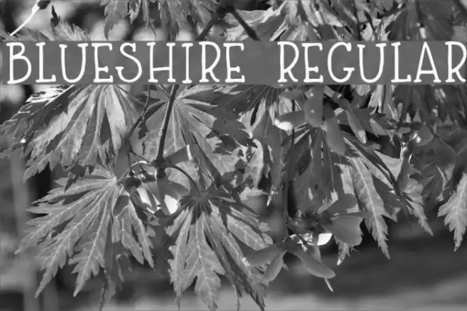 Blueshire Regular Fonte examples
