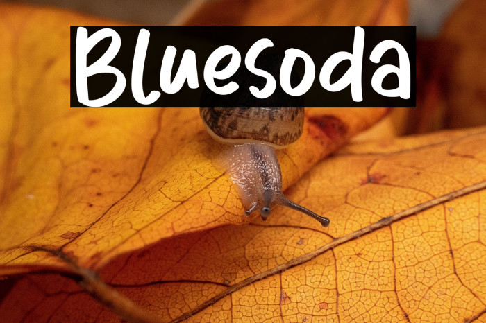 Bluesoda Example 1