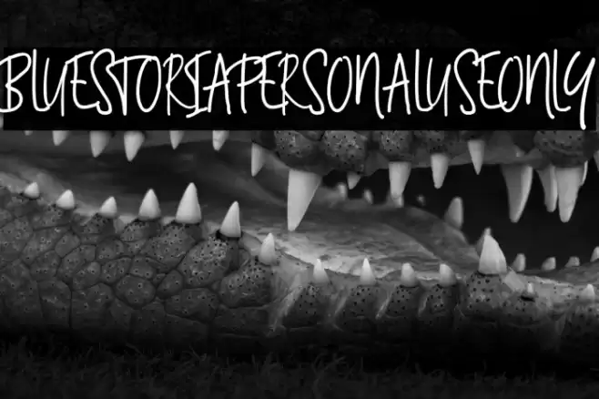 BluestoriaPersonalUseOnly Font examples