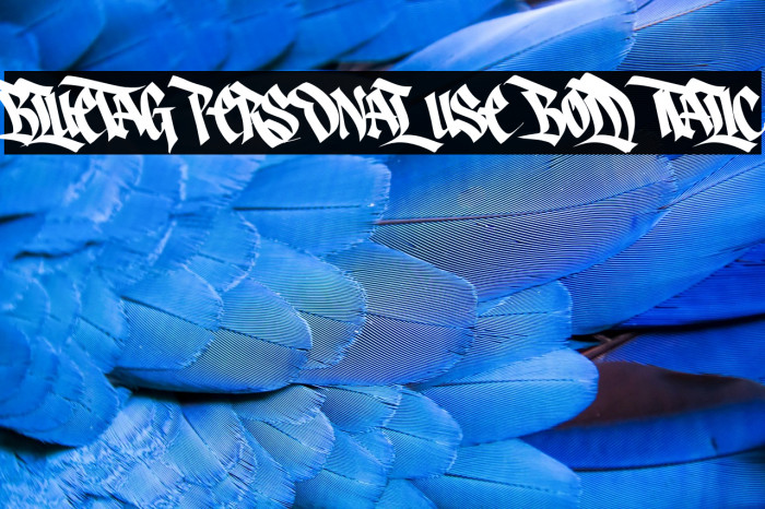 Bluetag PERSONAL USE Bold Italic Example 1