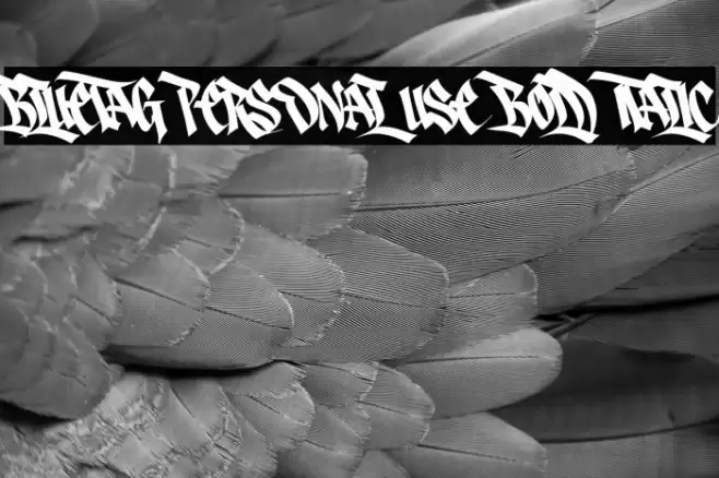 Bluetag PERSONAL USE Bold Italic 字体 examples