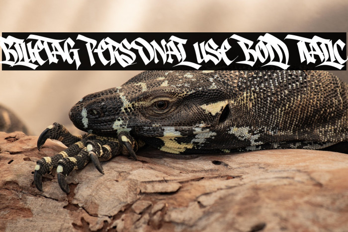 Bluetag PERSONAL USE Bold Italic Example 2