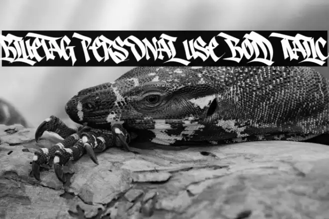 Bluetag PERSONAL USE Bold Italic 字体 examples