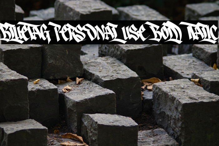 Bluetag PERSONAL USE Bold Italic Example 3