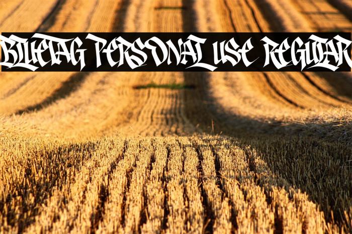 Bluetag PERSONAL USE Regular Example 1