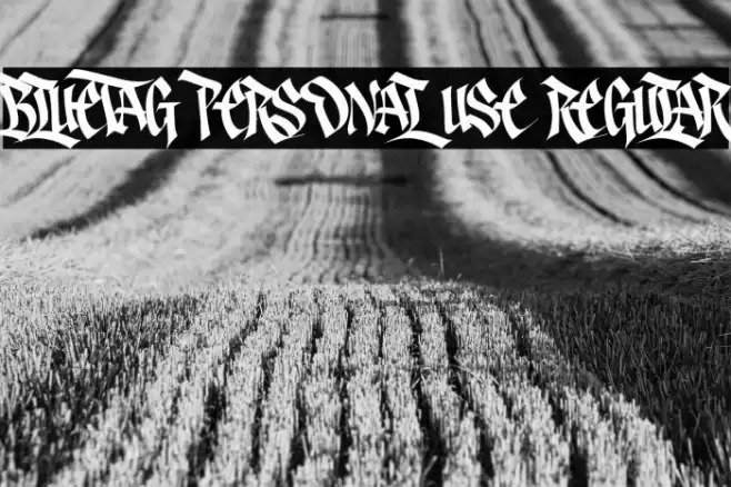 Bluetag PERSONAL USE Regular Font examples
