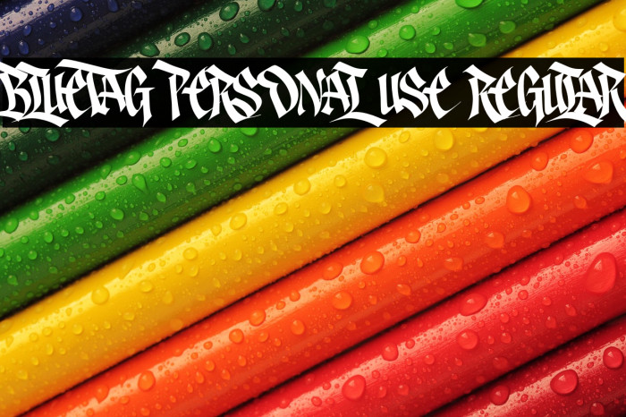 Bluetag PERSONAL USE Regular Example 2