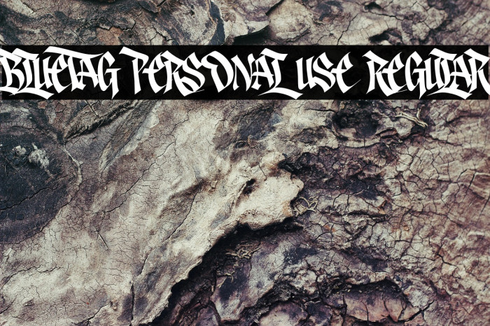 Bluetag PERSONAL USE Regular Example 3