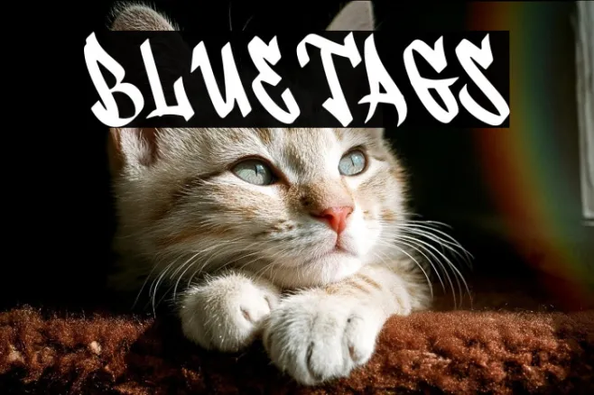 Bluetags Example 1