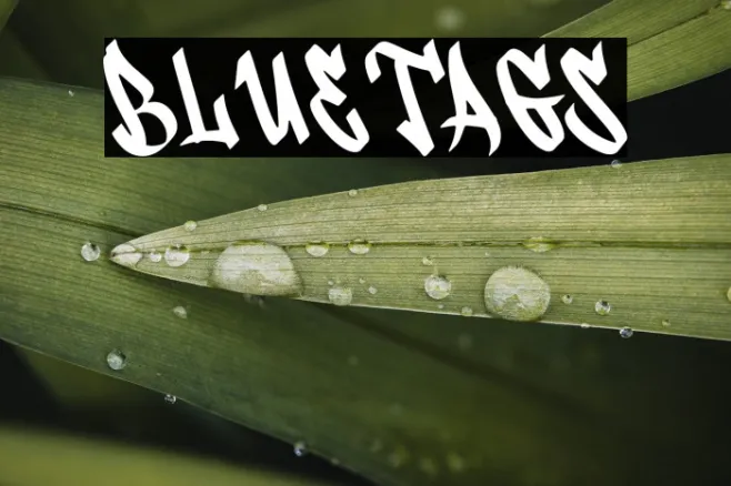 Bluetags Example 3