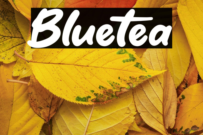Bluetea Example 1