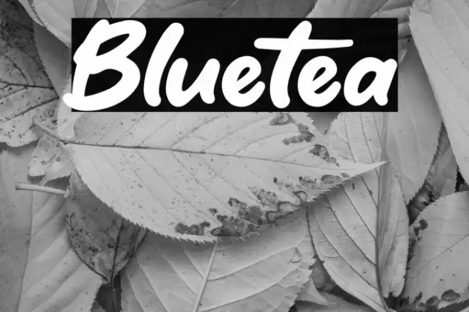Bluetea Font examples