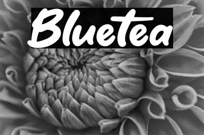 Bluetea Font examples