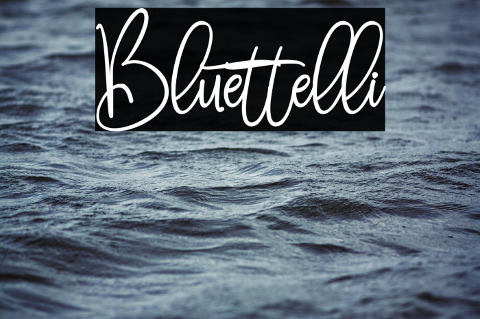 Bluettelli Example 1