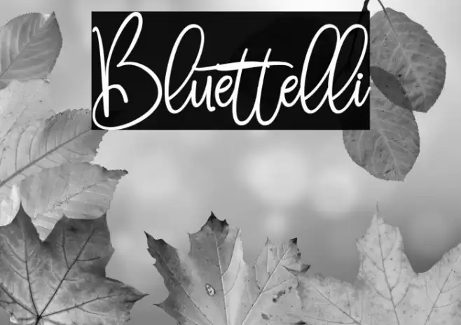 Bluettelli Font examples