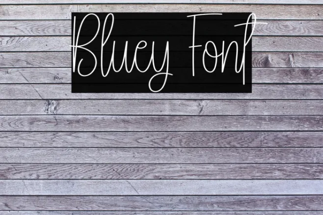 Bluey Example 1
