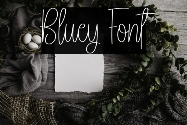 Bluey Example 2