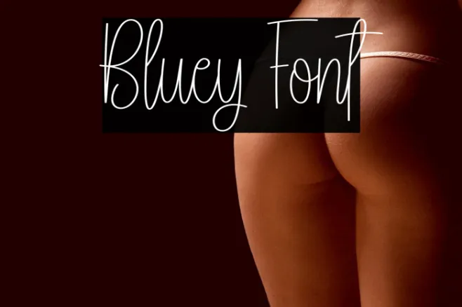 Bluey Example 3