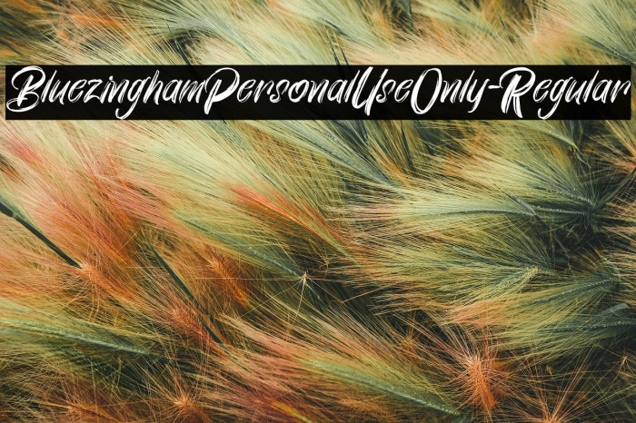 BluezinghamPersonalUseOnly-Regular Example 2