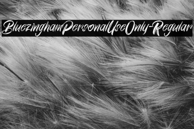 BluezinghamPersonalUseOnly-Regular Font examples
