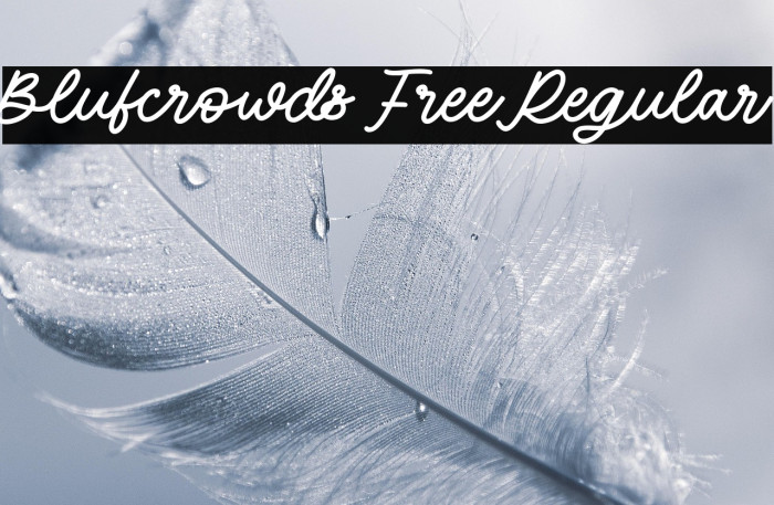 Blufcrowds Free Regular Example 1