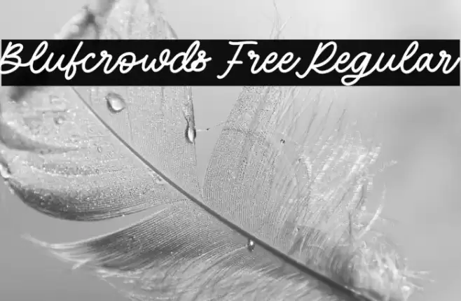 Blufcrowds Free Regular Font examples