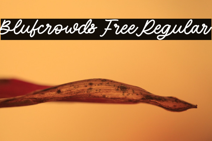 Blufcrowds Free Regular Example 2