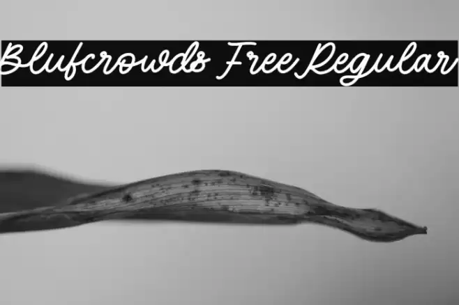Blufcrowds Free Regular Font examples