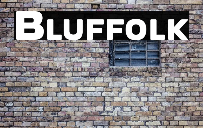 Bluffolk Example 3