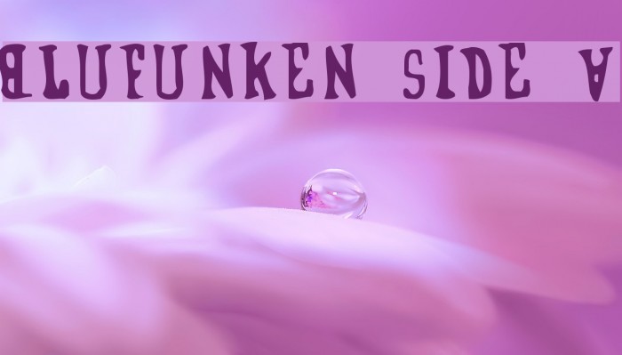 Blufunken side A Font examples