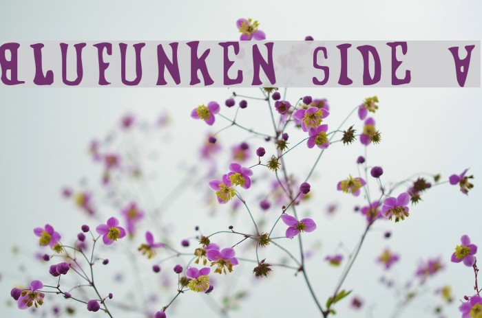 Blufunken side A Font examples