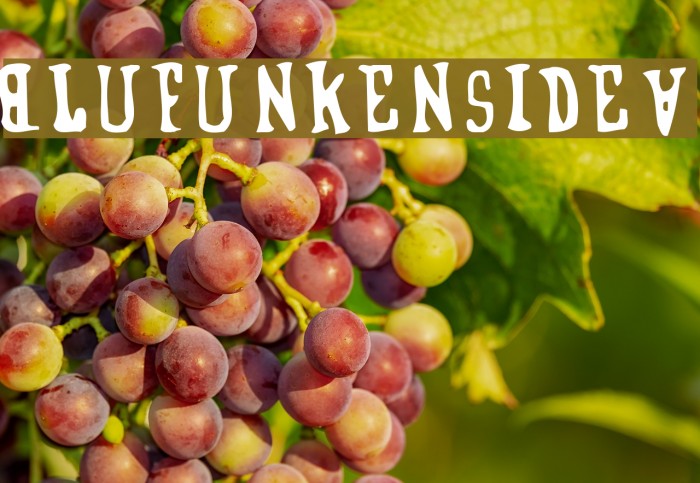 BlufunkensideA Font examples