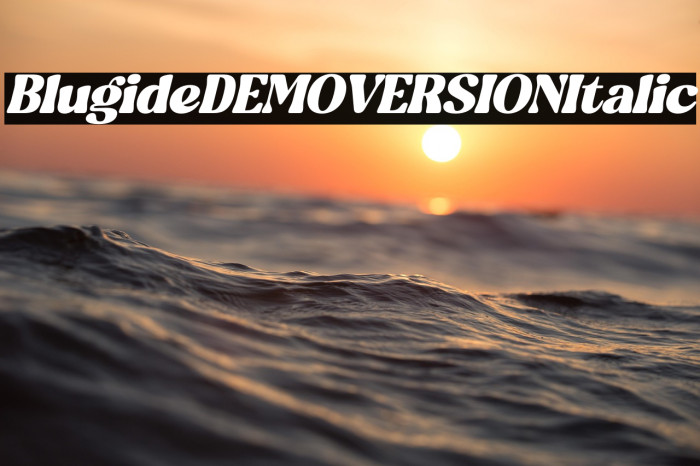 Blugide DEMO VERSION Italic Example 1