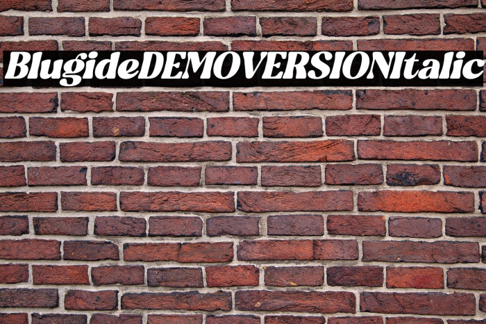 Blugide DEMO VERSION Italic Example 3