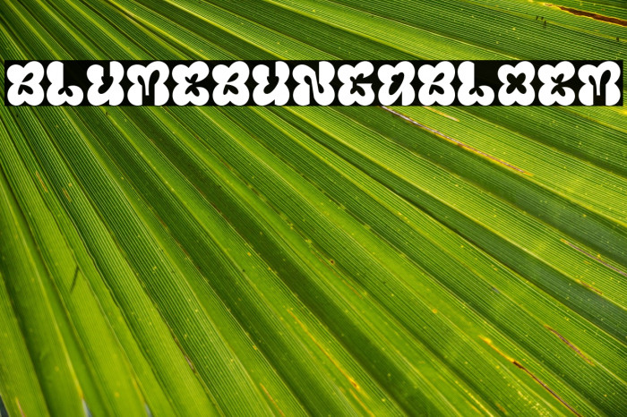 Blumebungabloem Example 3