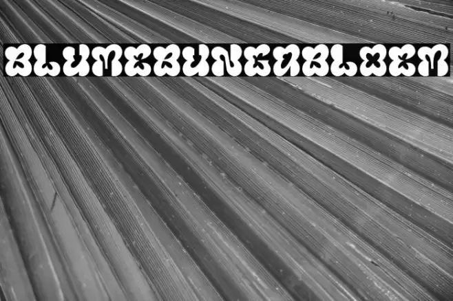 Blumebungabloem Font examples