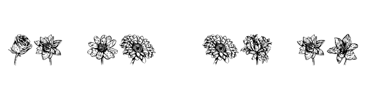 Blumen Regular  Скачать бесплатные шрифты
