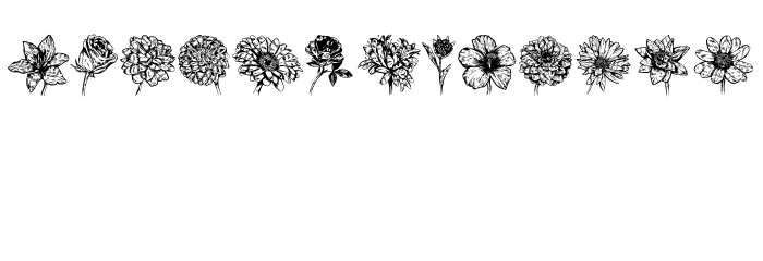 Blumen Regular Font LOWERCASE