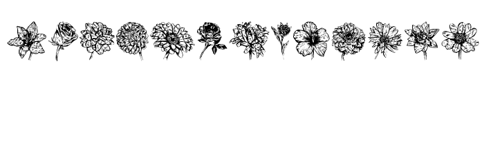 Blumen Regular Font LOWERCASE