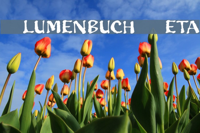 Blumenbuch Beta Example 2