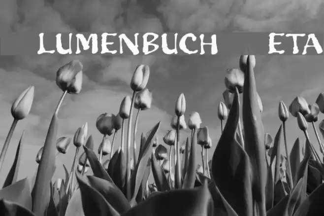 Blumenbuch Beta Font examples